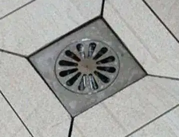 下水道小(xiǎo)飛蟲怎麽消滅
